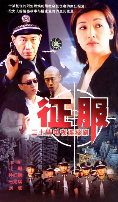 征服 2003 1080P高清经典 全20集 孙红雷-夸克网盘资源