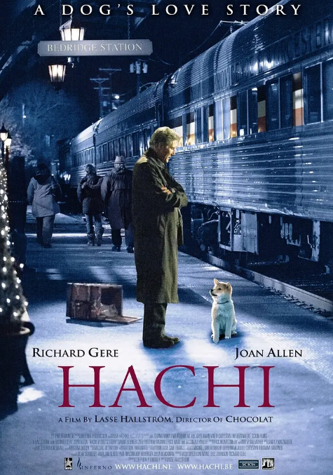 忠犬八公的故事 2009高清经典 1080p 中英双字-夸克网盘资源