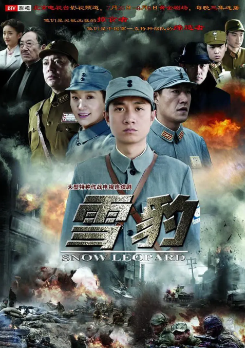 雪豹 (2010) 全40集 1080P高清-夸克网盘资源
