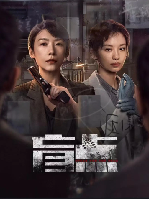 【电视剧】盲点 (2025) [24集全] 4K蓝光 高码-夸克网盘资源